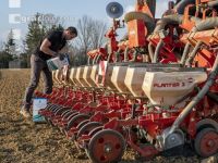 Beet seeding 134