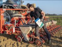 Beet seeding 129