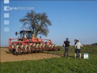 Beet seeding 128