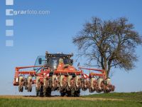 Beet seeding 126
