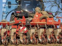 Beet seeding 125