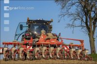 Beet seeding 124