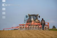 Beet seeding 123