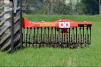 Hoeing grain 4