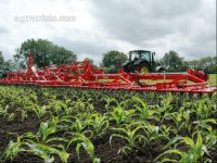Maize curry comb 2