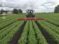 Hogging machine carots 4
