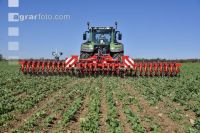 Hogging machine broad bean