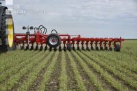 Hogging machine peas 6