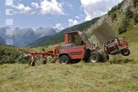 Alpine haying 9