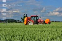 Grain fungicide 60