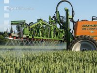 Wheat fungicide evening 24