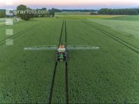 Wheat fungicide evening 2