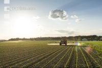 Maize herbicide 142