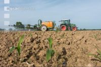Maize herbicide 216