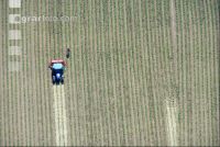 Hack maize weeds air
