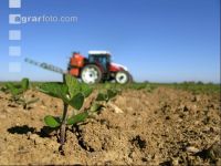 Soya herbicide 8