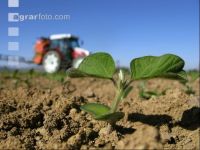 Soya herbicide 6