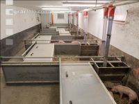 Tierwohlstall 11