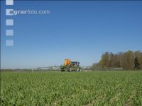 Weizen Herbizid 88