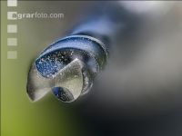 Spiralbohrer 4