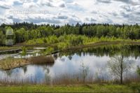 Im Hochmoor 15