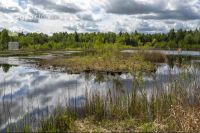 Im Hochmoor 13