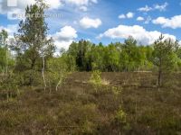 Im Hochmoor 7