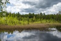 Im Hochmoor 4
