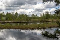 Im Hochmoor 3
