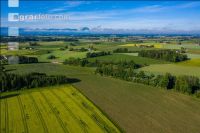 Grain fields June 5