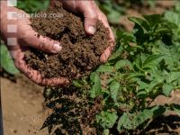 Soil from potatoe dam 2