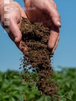 Soil from potatoe dam 1