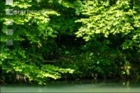 Fliegen steigen über Fluss