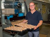 Eier Sortierung 37