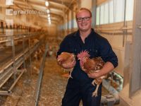 Broiler parent stock 81