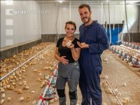 Broiler biological 65
