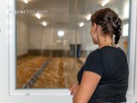 Broiler biological 50