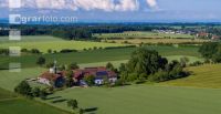 Grain fields June 15