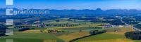 Grain fields June 12