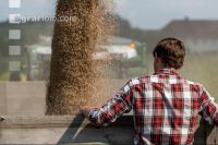 Rye harvest 68