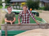 Rye harvest 66