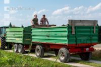 Roggen Ernte 59