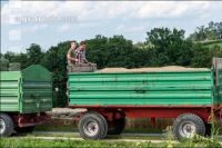 Roggen Ernte 58