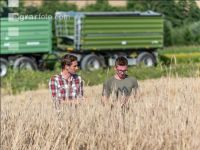 Rye harvest 55