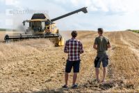 Rye harvest 53
