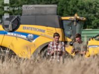 Roggen Ernte 49