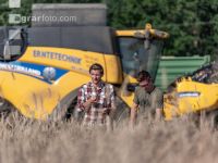 Rye harvest 48