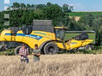 Roggen Ernte 47