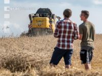 Roggen Ernte 44