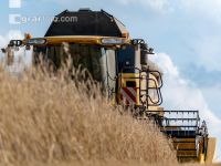 Rye harvest 41